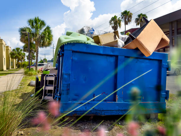 Attic Cleanout Services in Seco Mines, TX
